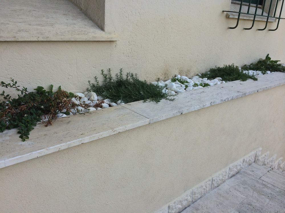 Residence Europa Piacenza Kültér fotó